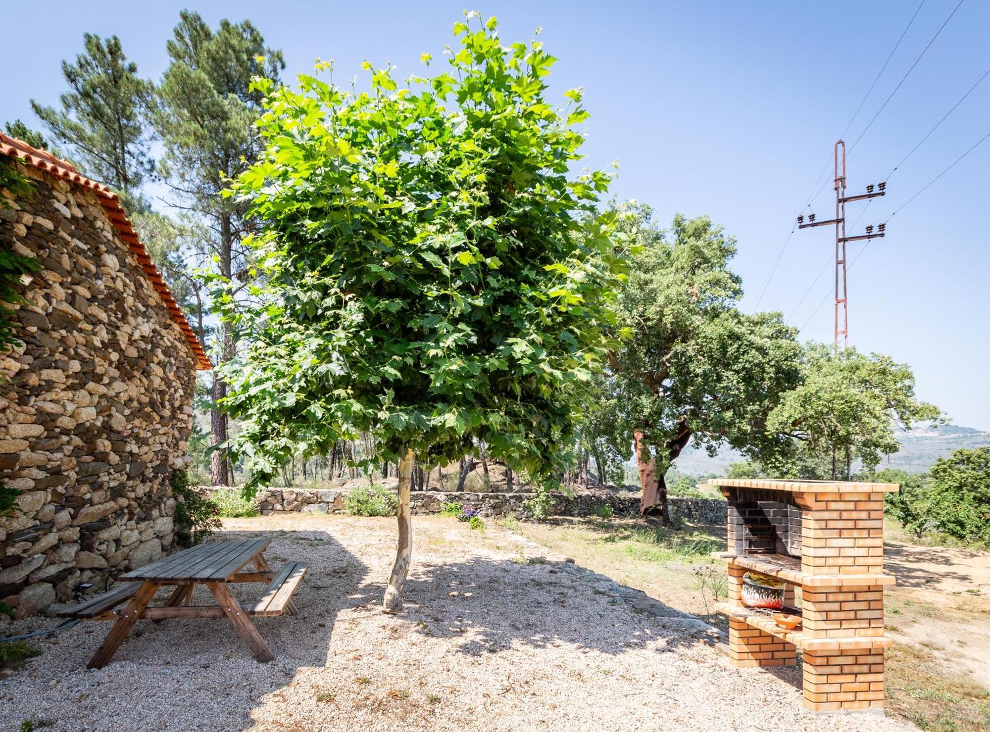 Вилла Casa Do Feitor - Douro - Quinta Da Cabrida Sendim  Экстерьер фото