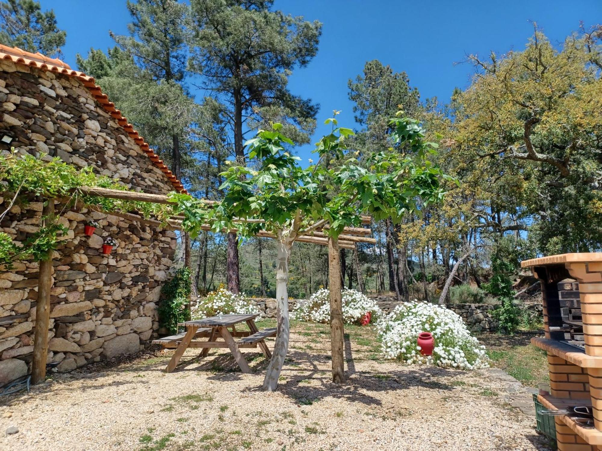 Вилла Casa Do Feitor - Douro - Quinta Da Cabrida Sendim  Экстерьер фото