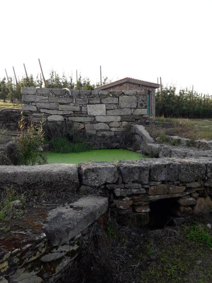 Вилла Casa Do Feitor - Douro - Quinta Da Cabrida Sendim  Экстерьер фото