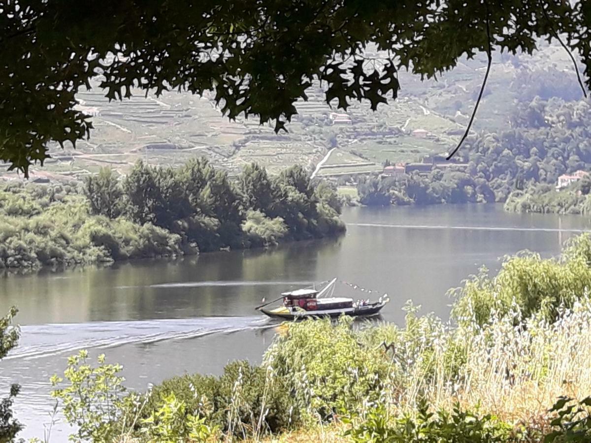 Вилла Casa Do Feitor - Douro - Quinta Da Cabrida Sendim  Экстерьер фото