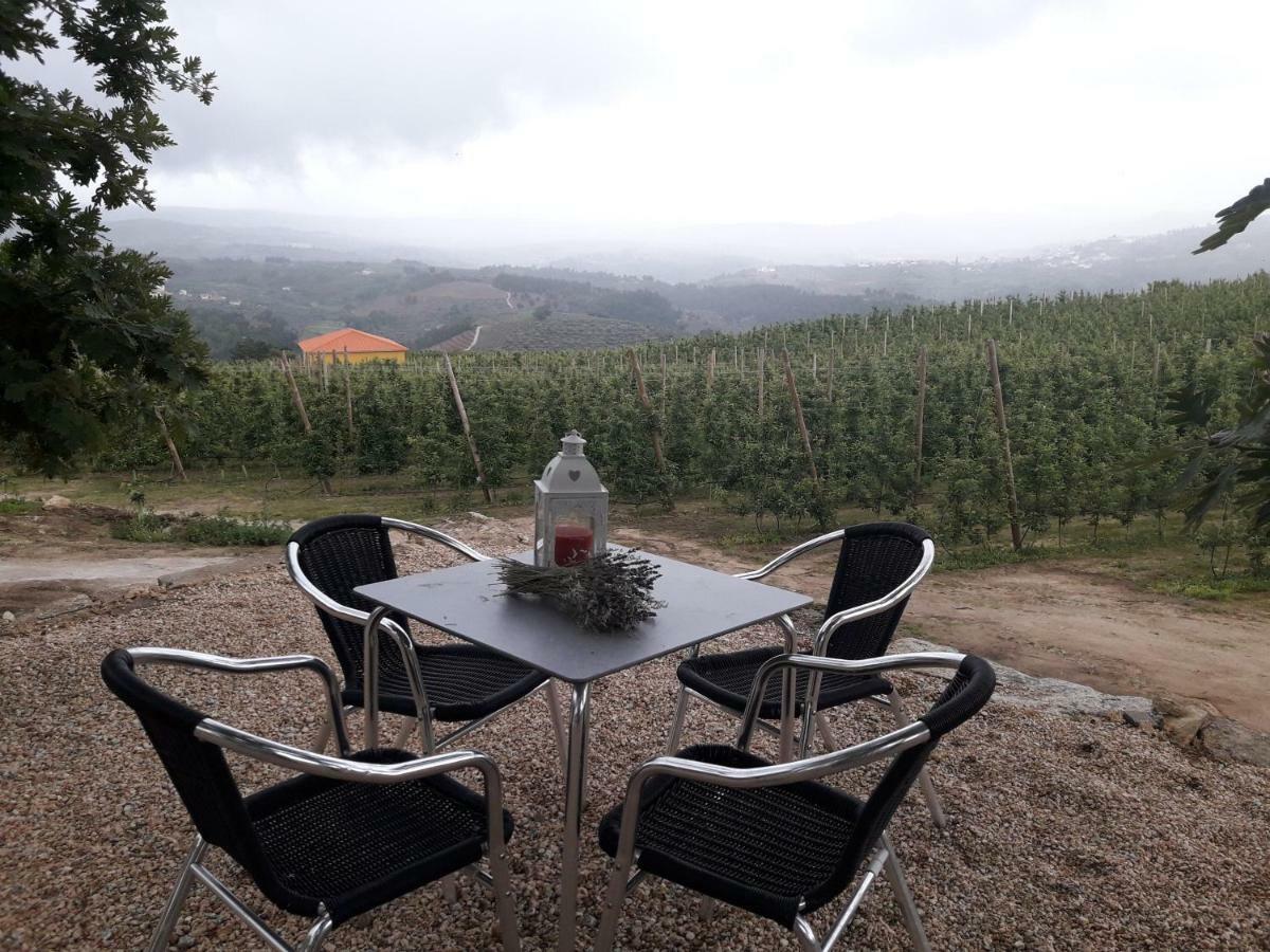 Вилла Casa Do Feitor - Douro - Quinta Da Cabrida Sendim  Экстерьер фото