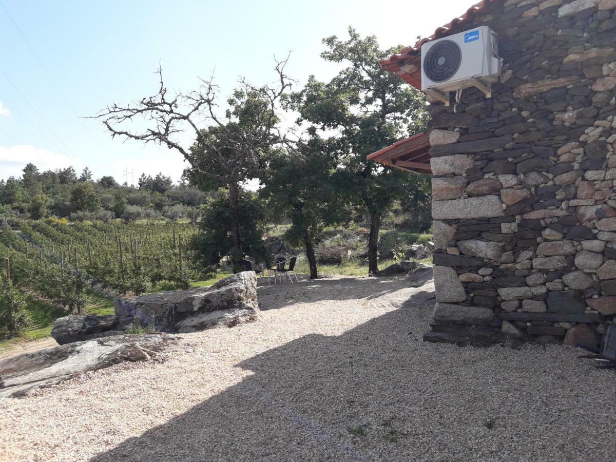 Вилла Casa Do Feitor - Douro - Quinta Da Cabrida Sendim  Экстерьер фото