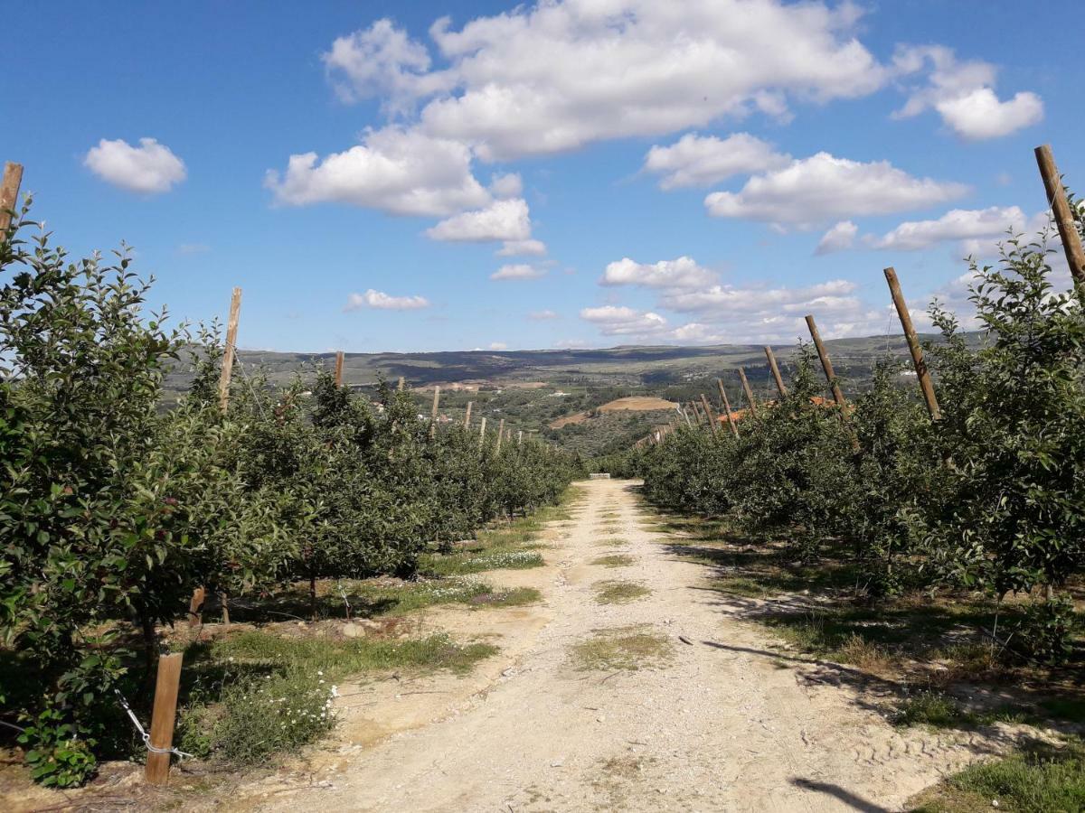 Вилла Casa Do Feitor - Douro - Quinta Da Cabrida Sendim  Экстерьер фото