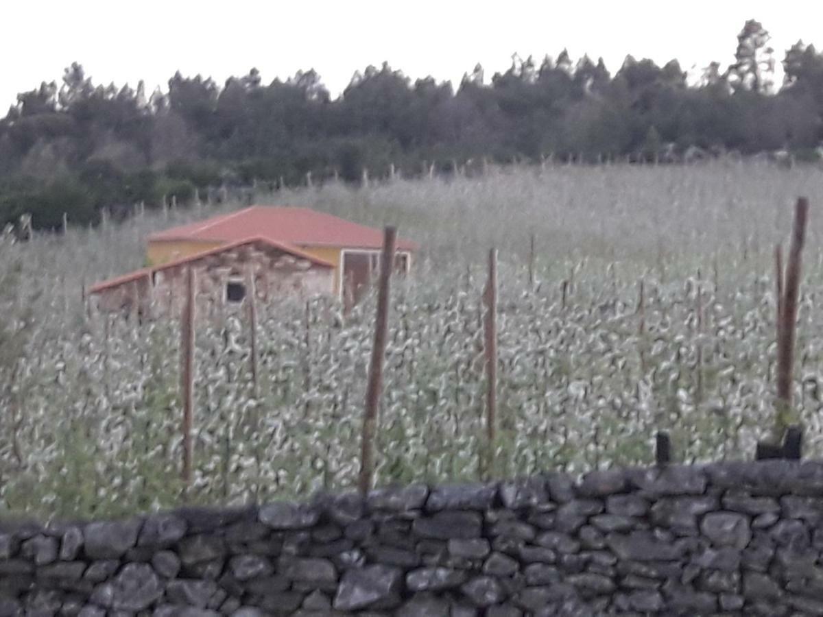 Вилла Casa Do Feitor - Douro - Quinta Da Cabrida Sendim  Экстерьер фото