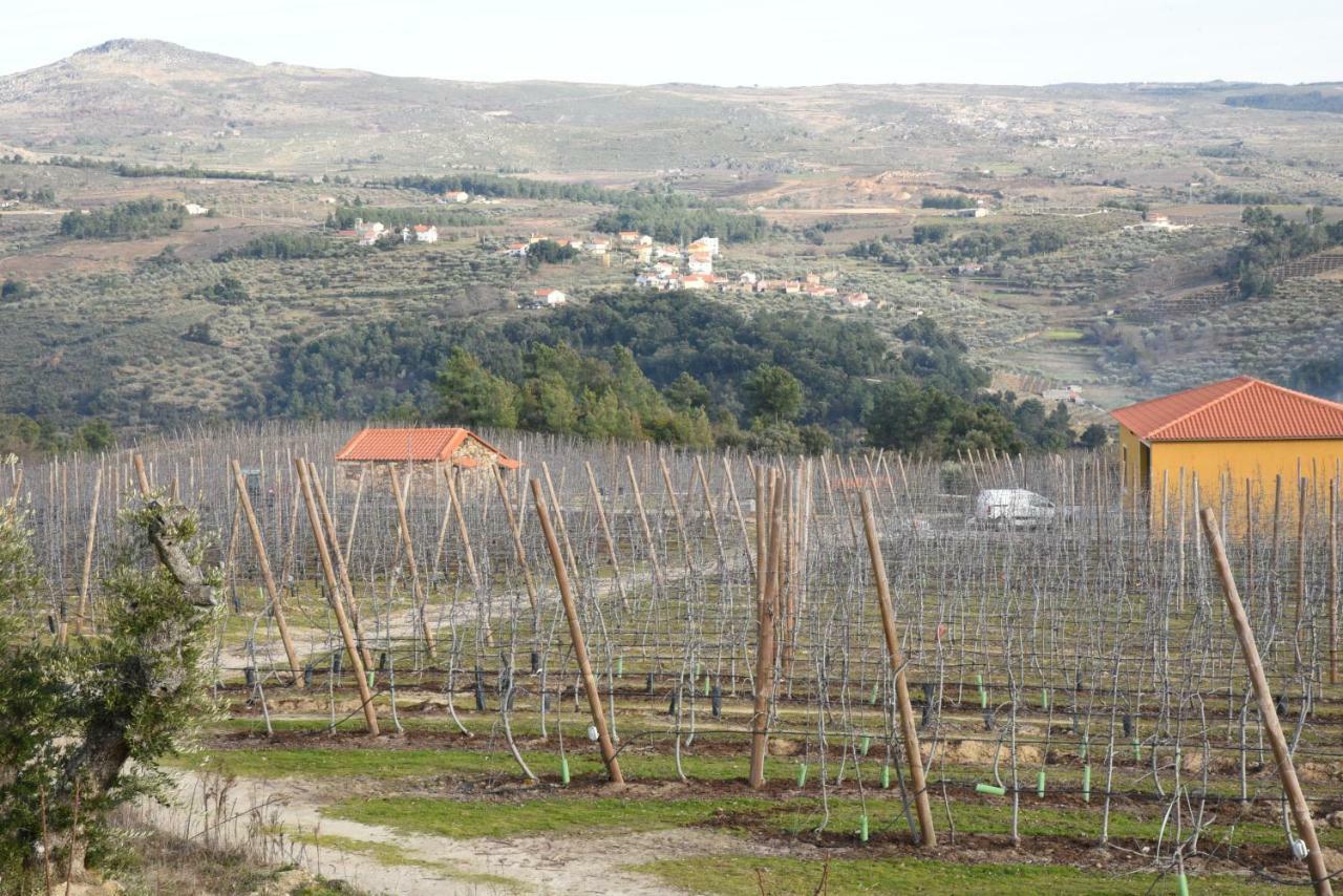 Вилла Casa Do Feitor - Douro - Quinta Da Cabrida Sendim  Экстерьер фото